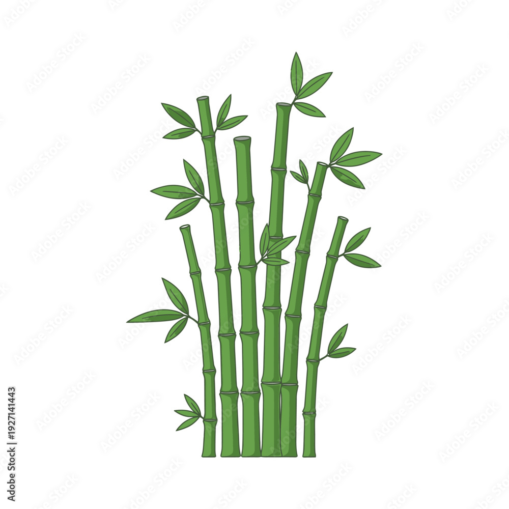 Obraz premium Green bamboo stalks with leaves isolated on white background vector illustration