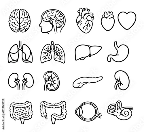 Set of human organ icons displayed on dark gradient