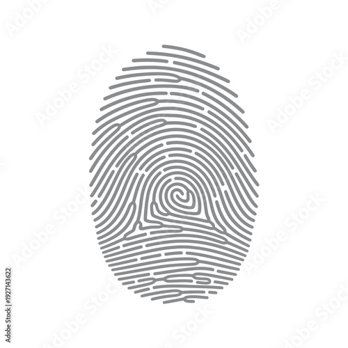 Fingerprint graphic isolated on white background digital biometric security
