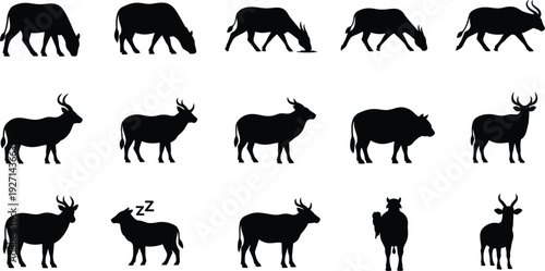 Collection of various animal silhouettes