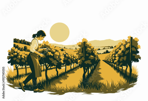Woman Tending to Lush Green Vineyard Rows at Sunset with Rolling Hills in Background Under a Golden Sky