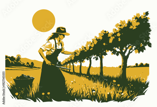 Serene Vineyard Harvest Scene with Farmer and Sunlit Vineyard Rows Under a Bright Sky in Verdant Countryside