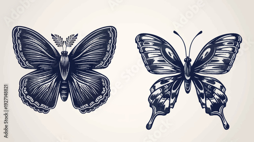 Two detailed, artistic illustrations of butterflies. One has an intricate design and a dark outline