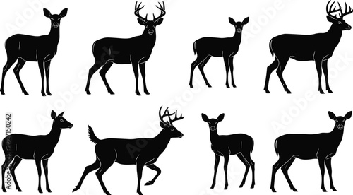 Flock of black ravens flying in the sky, silhouette of crows, bird migration, flat vector illustration, isolated on white background, cad drawing