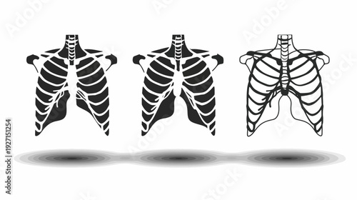 Three stylized depictions of the human ribcage, in black and white, with different levels of detail, with a shadow