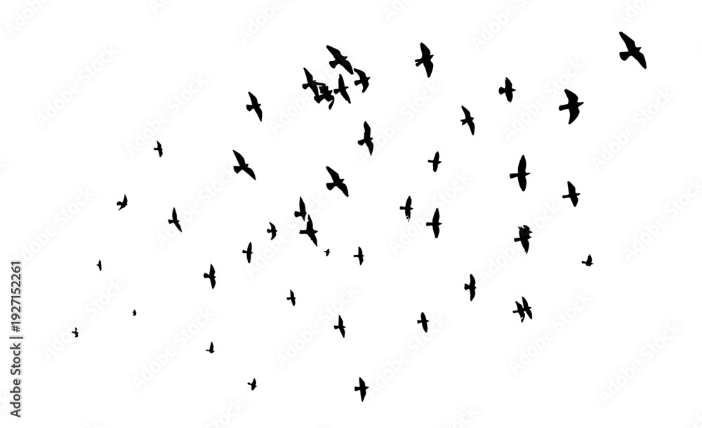Obraz premium Flying birds silhouette flock. hand drawing. Not AI. Vector illustration