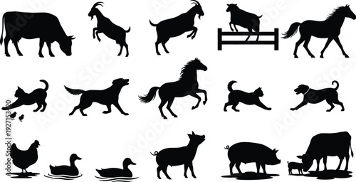 Farm and domestic animal silhouettes