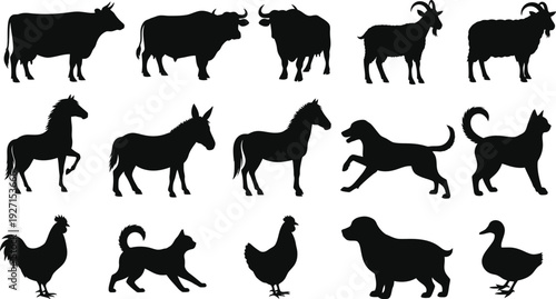 Collection of animal silhouettes