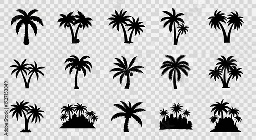 Collection of Palm Tree Silhouettes on Transparent Background - Tropical Vector Icons