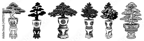 Collection of six different bonsai trees in decorative pots rendered as black and white vector sketches