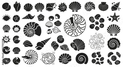 Collection of Seashells and Starfish Vector Icons: Nautical and Marine Life Graphics