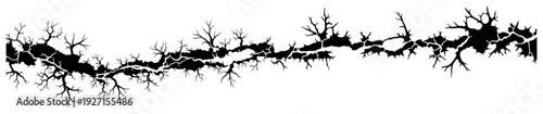 Detailed horizontal black ground crack silhouette with jagged branch edges on white background