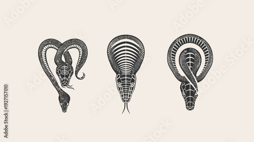 Three graphic illustrations featuring different stylized cobra depictions in black and white