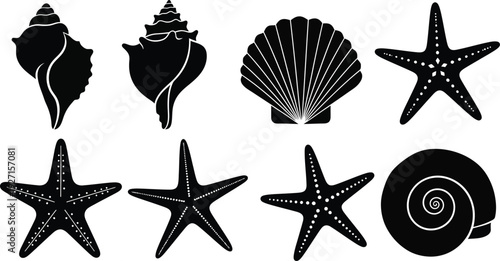 A collection of black seashell and starfish silhouettes arranged in a row on transparent background high quality professional detailed modern elegant