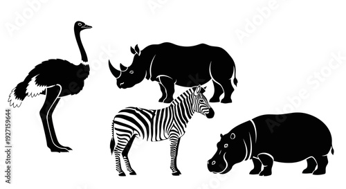African Wildlife Silhouettes: Ostrich, Rhinoceros, Zebra, and Hippopotamus Isolated