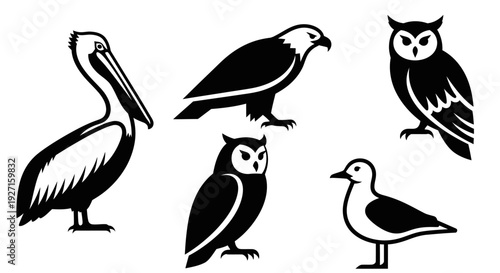 Bird silhouettes collection: pelican, eagle, owls, and seagull icons