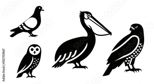 Bird Silhouettes Collection: Pigeon, Owl, Pelican, and Eagle Icons Set