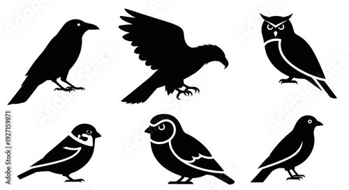 Bird Silhouettes Set: Diverse Black Avian Icons, Wildlife Vector Collection