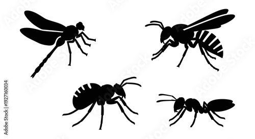 Black Silhouettes of Various Insects: Dragonfly, Wasp, and Ants on White Background