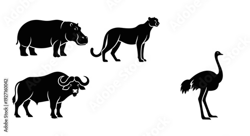 Black Silhouettes of Wild African Animals: Hippopotamus, Panther, Buffalo, and Ostrich