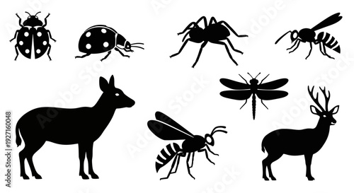 Collection of animal and insect silhouettes including deer, spider, ladybug, and dragonfly icons