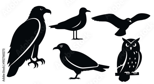 Collection of various bird silhouettes: eagle, owl, seagull, and crow icons
