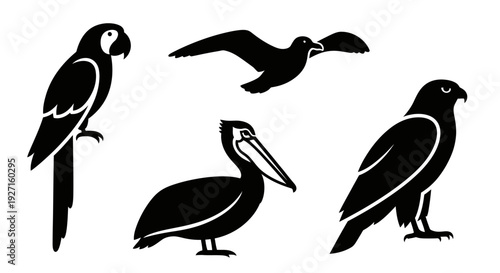 Collection of various bird silhouettes, vector icons set