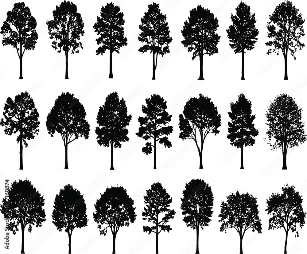 Fototapeta premium A collection of twenty one different tree silhouettes against a white background.