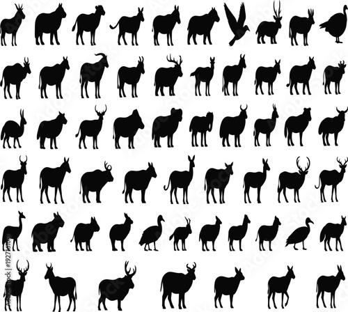A collection of silhouettes of various animals, including deer and birds, against a white background.