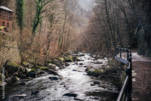 Fluss Bode im Frühling zwischen kahlen Bäumen