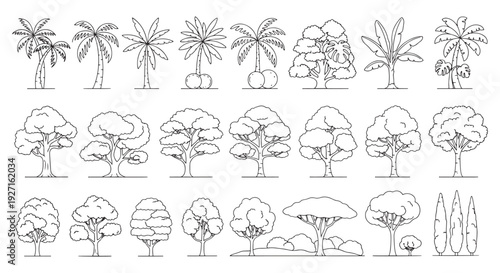 Tree Line Art Collection: Palm, Deciduous and Conifer Outlines With Tree Icons Set