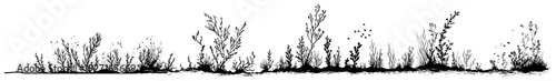 Dense wild vegetation border with tall weeds and meadow plants in vintage sketch style