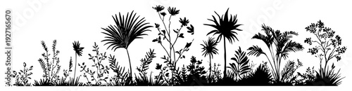 Horizontal silhouette border featuring tropical plants and exotic palm leaves