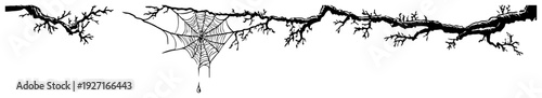 Corner spider web hanging from old cracked branch in halloween style