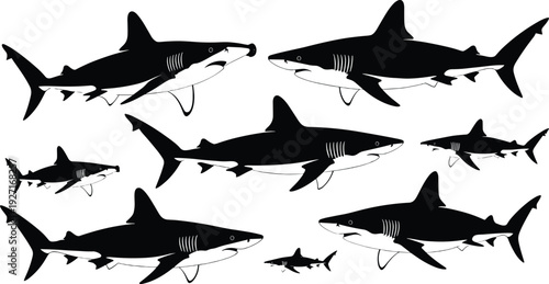 Shark silhouette collection featuring multiple great white shark poses underwater vector illustration set isolated on white background for marine design