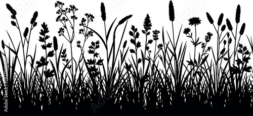Black silhouette of diverse meadow grasses and wildflowers on a white background, vector illustration