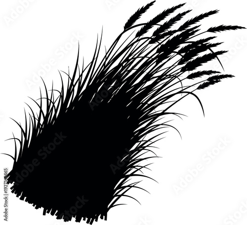 A dynamic black silhouette of a bunch of tall, swaying grass blades and seed heads, isolated vector