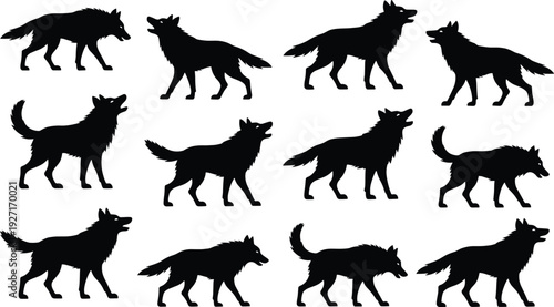 Wolf silhouette collection featuring multiple poses of wild canine animals vector illustration set isolated on white background for graphic design use