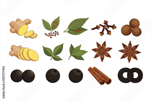 Collection of various spices and herbs including ginger, bay leaves, cloves, and cinnamon in a vector graphic illustration for culinary and cooking designs, perfect for recipes and kitchen decor.