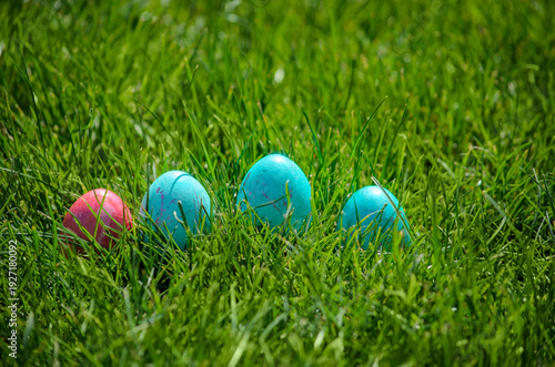 Easter eggs hiding in the grass