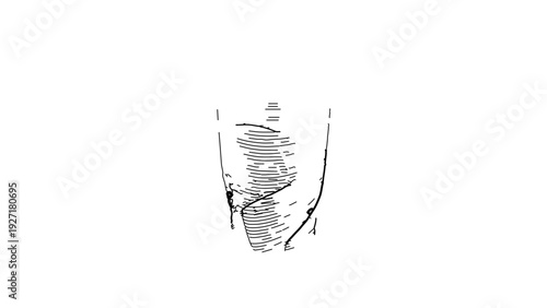 A minimalist vector illustration of a fingerprint on a white background