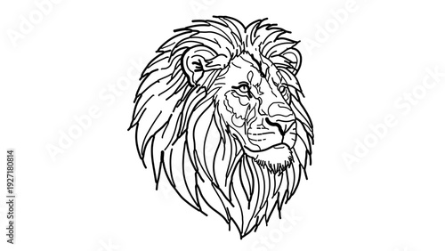 A minimalist line art illustration of a lion's head in a simple and elegant design style