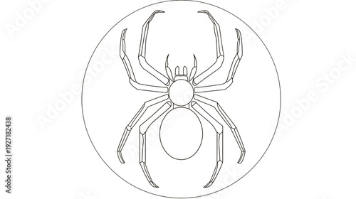 A simple outline drawing of a spider inside a circle, ideal for coloring or design