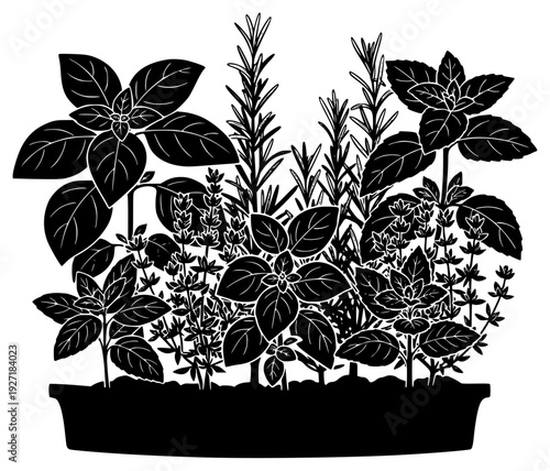 A black and white illustration of various herbs in a pot, basil, black, container, flower, herb, illustration, plant, pot, profile, rosemary, against transparent background