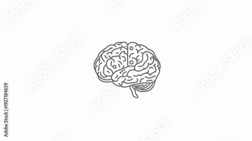 A grayscale outline illustration of a human brain on a clean white background
