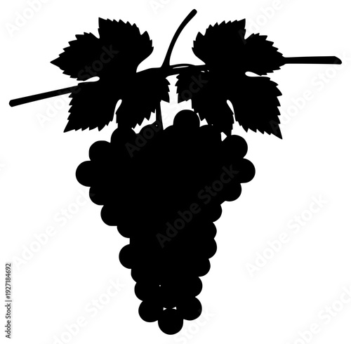 Fotografie A black silhouette of a bunch of grapes with leaves, black, branch, grape, illus