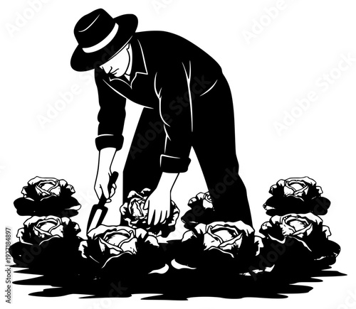 in a vegetable garden, surrounded by lettuce, cabbage, cut, floor, flower, gardener, illustration, job, land, lettuce, man, plectrum, rose, shear, shovel, sun hat, tool, against transparent background