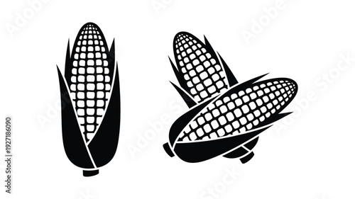 Two corn cobs displayed in a striking black silhouette