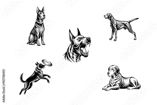 Illustrations of different dog breeds and poses