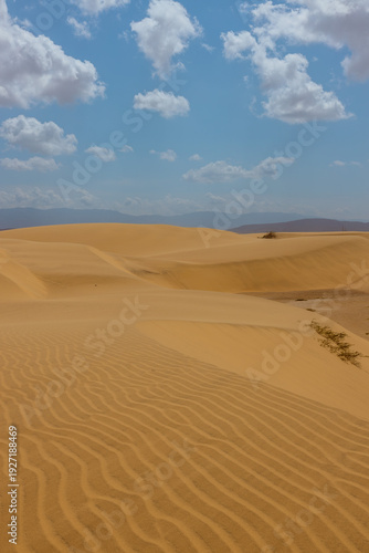 Pristine Vertical Desert Dunes with Wind-Swept Ripples and Blue Sky